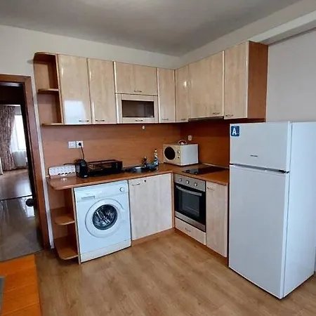 радост * 班斯科